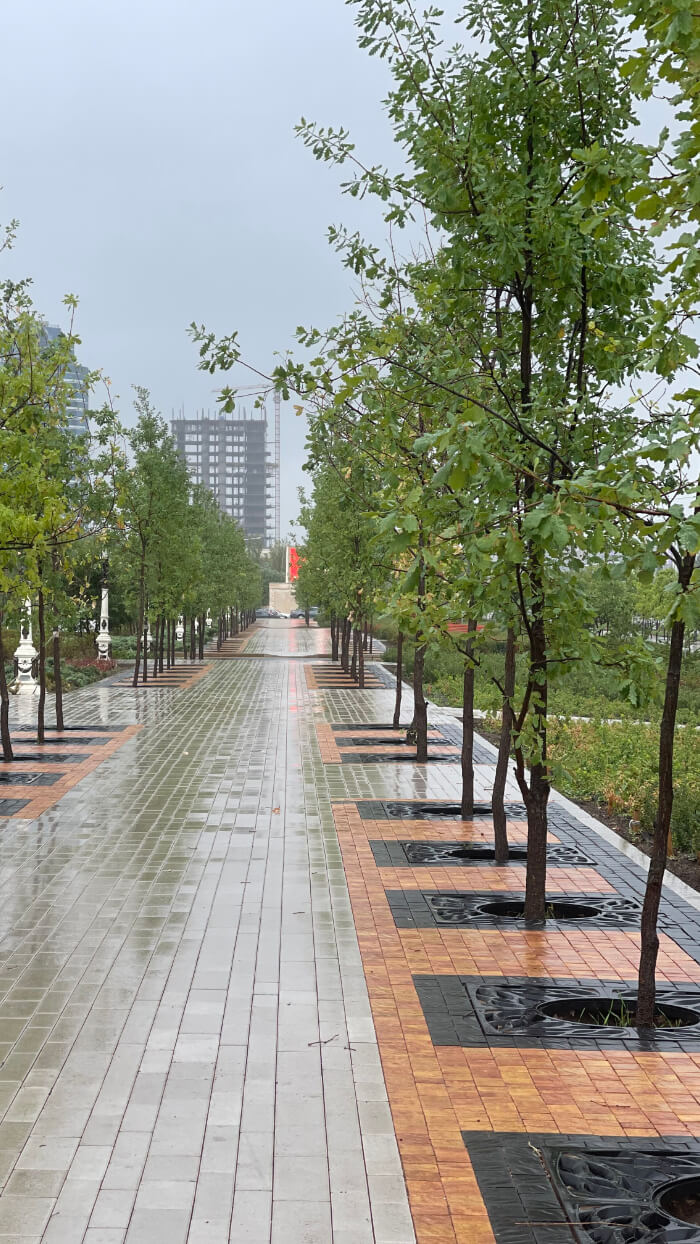 Приствольная решетка для дерева ZKING CRUST 1.2х1.2м Черная в Великом Новгороде фото