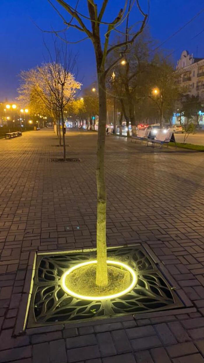 Приствольная решетка для дерева ZKING CRUST 1.2х1.2м Черная в Великом Новгороде фото